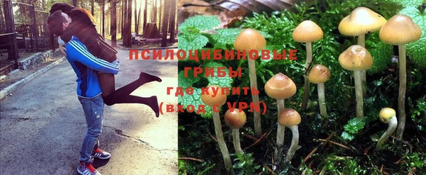spice Алзамай