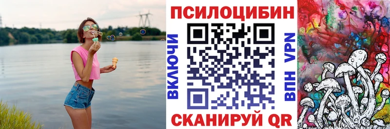 Галлюциногенные грибы Psilocybe Еманжелинск